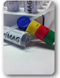 ZippMags Super Strong Neodymium MagnetsTube Close-up